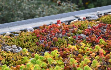 the cost of Fleggburgh green roof installation