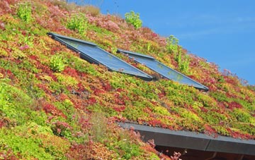 Fleggburgh living roof systems
